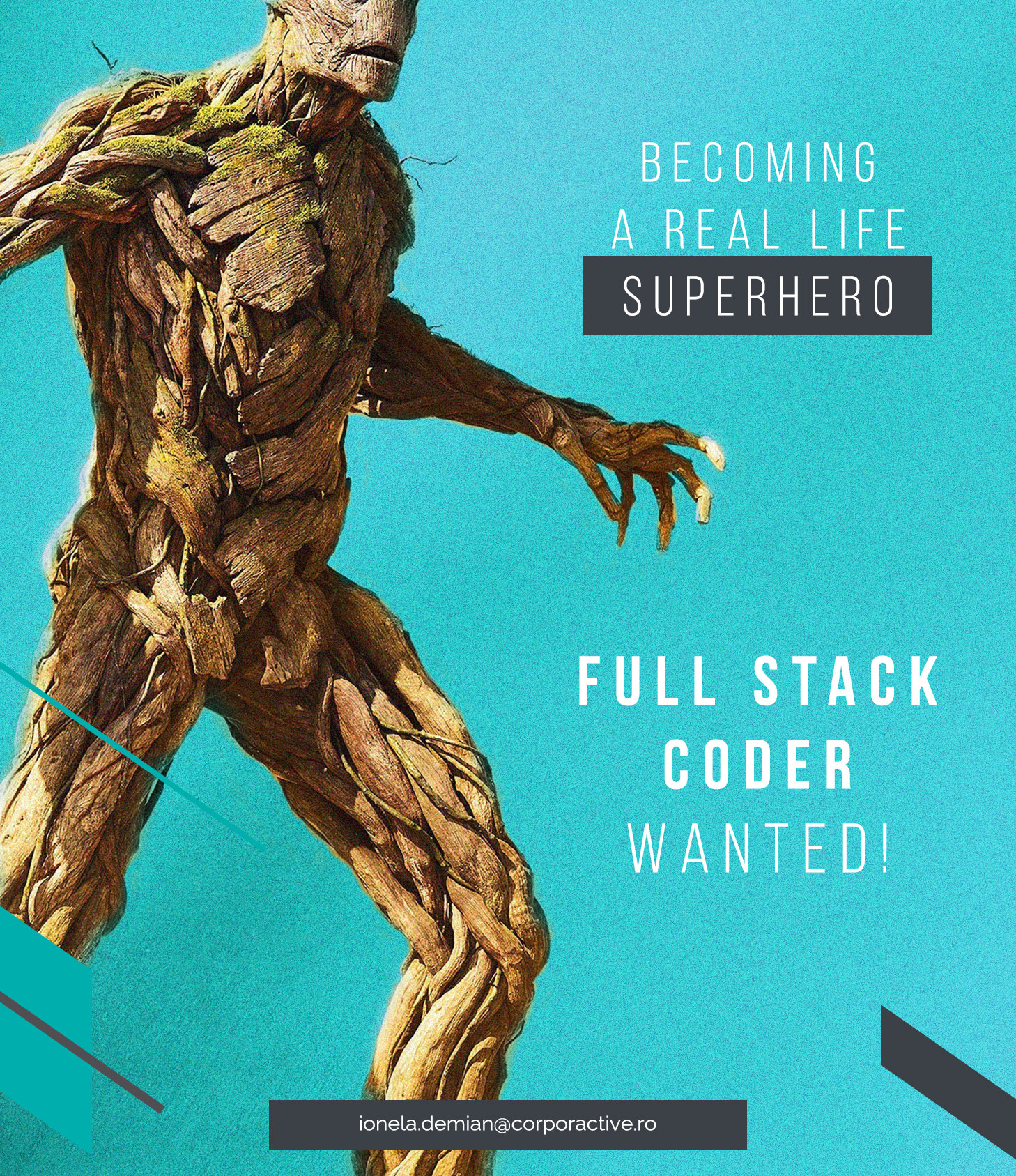 Full Stack Coder