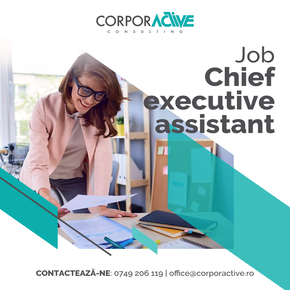Chief executive assistant